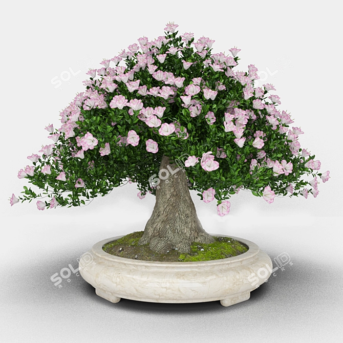 Miniature Bonsai Tree: 60cm Height 3D model image 1