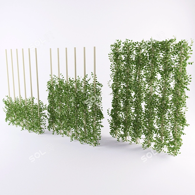 Versatile Ivy Plant: 3 Height Options 3D model image 1