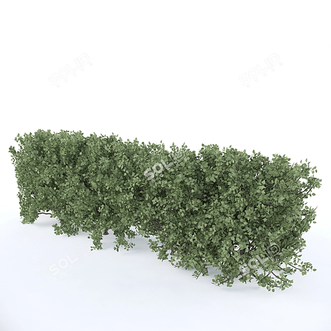 Natural Living Fence 3D model image 1