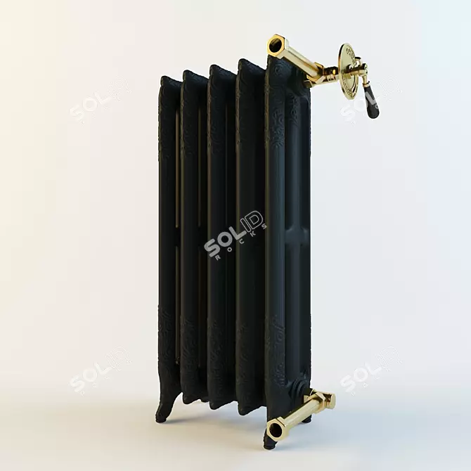 Apolo Radiator: Energy-Efficient Heating Solution 3D model image 1