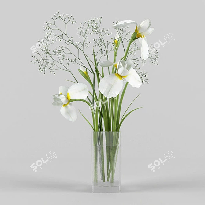 Elegant Iris and Gypsophila Bouquet 3D model image 1