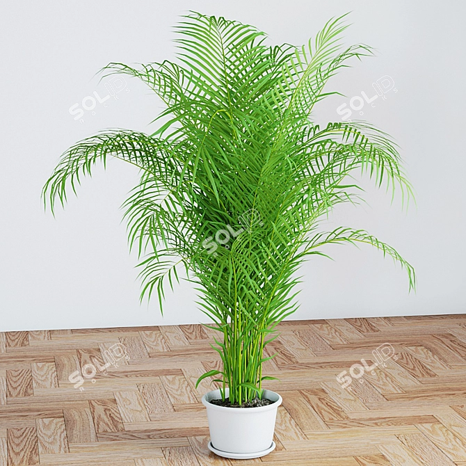 Tropical Palm Tree 1150mm: High Quality 3D Model 3D model image 1