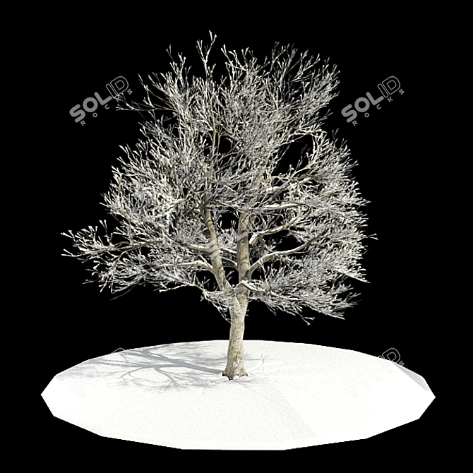 Snowy Tree Mesh Generator 3D model image 1