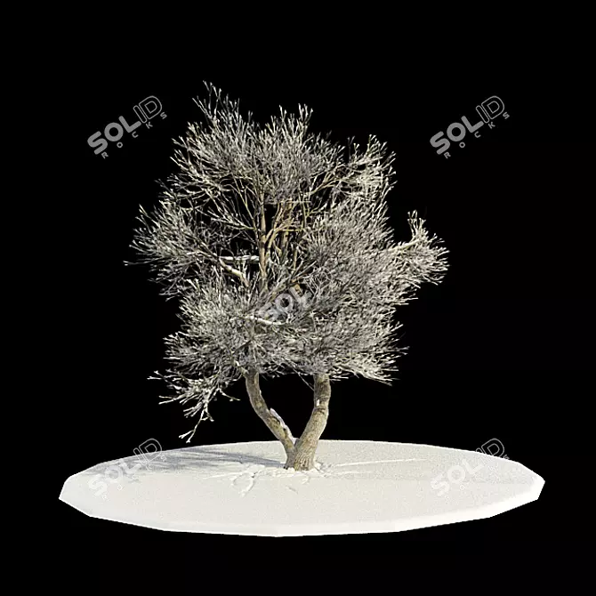 Snowy Tree Mesh v3 3D model image 1