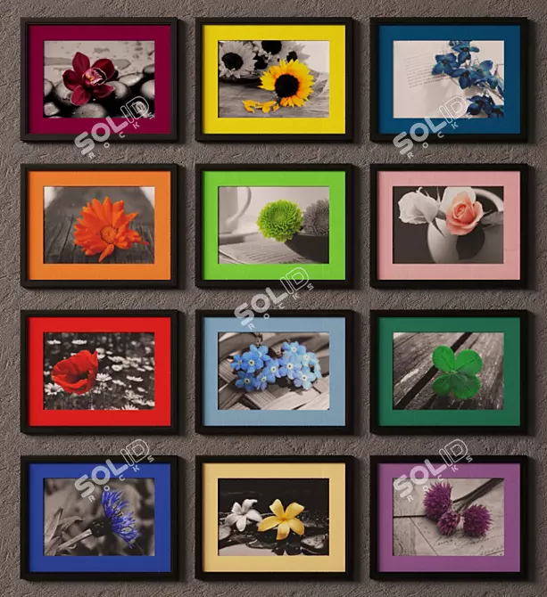 Colorful Flower Photos with Mat 3D model image 1