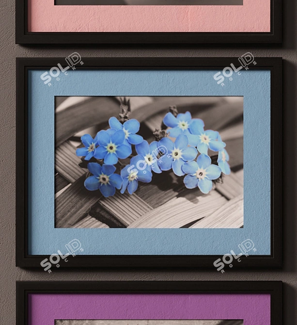 Colorful Flower Photos with Mat 3D model image 2