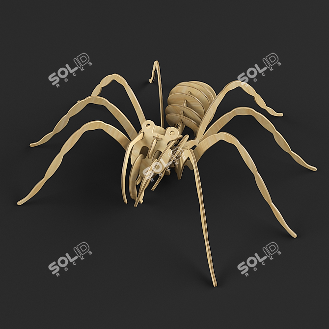 Wooden Spider Model Kit | 2011 & 2014 Versions 3D model image 3