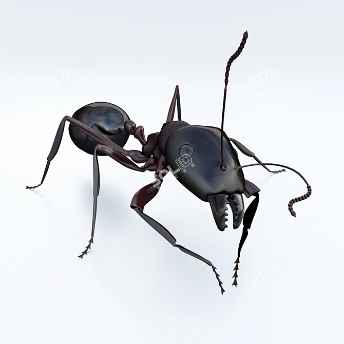 Tiny Insect 3D Model 3D model image 1