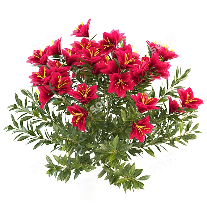 Blooming Beauty: Azalea Garden 3D model image 1