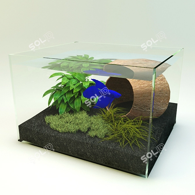 Home Aquarium: Just Like Mine! 3D model image 1