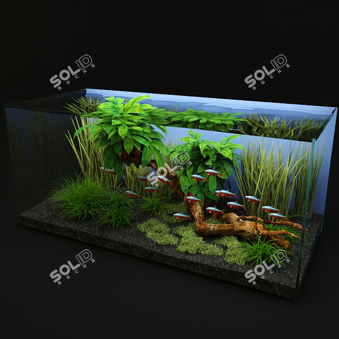 Vibrant Oasis: Compact Aquarium 3D model image 2