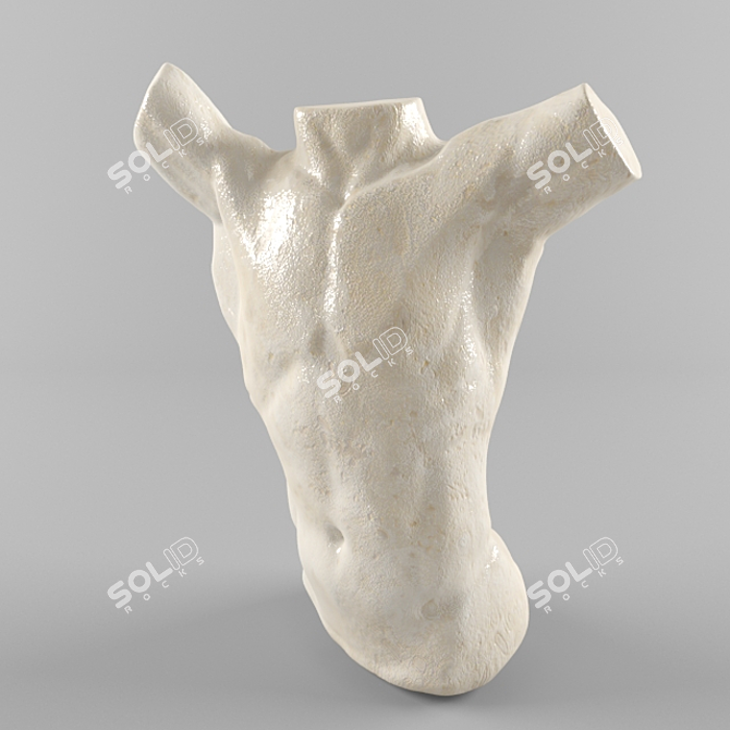 Sculpted Torso Mannequin 3D model image 1