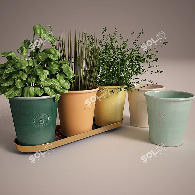 Elegant Brass Herb Pots 3D model image 1