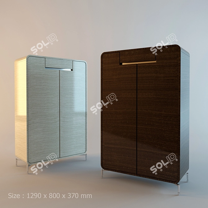 Spacious Shoe Storage Locker 3D model image 1