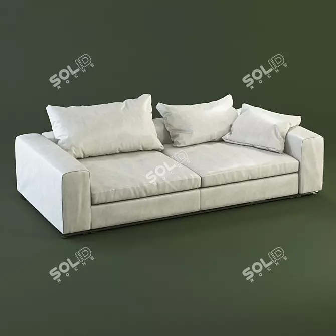 Luxury Leather 2-Seater Sofa: FLEXFORM Groundpiece 3D model image 1