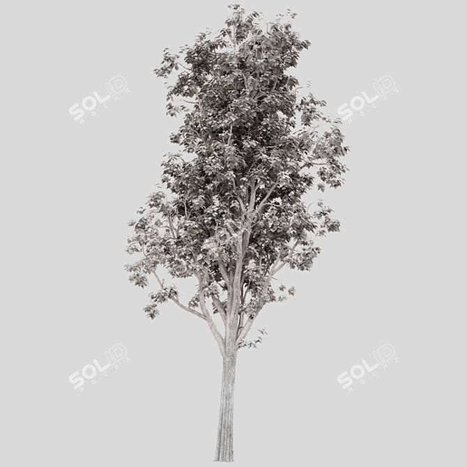 Houseplant Seal Brown 3D model image 2