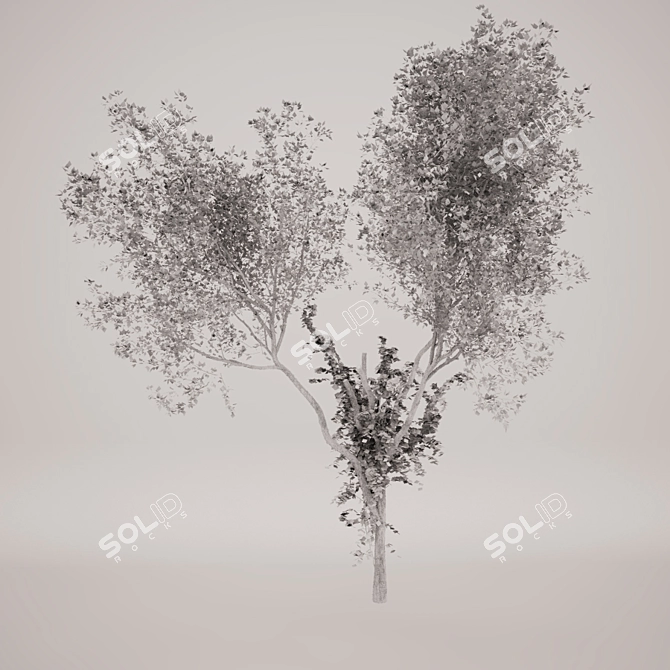 Nature's Beauty Tree_2 3D model image 2