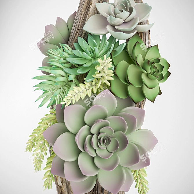 Succulent Forest Harmony 3D model image 2