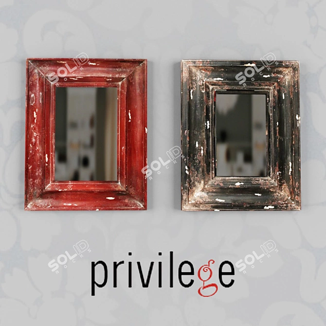 Elegant Privilege Wall Mirrors 3D model image 1