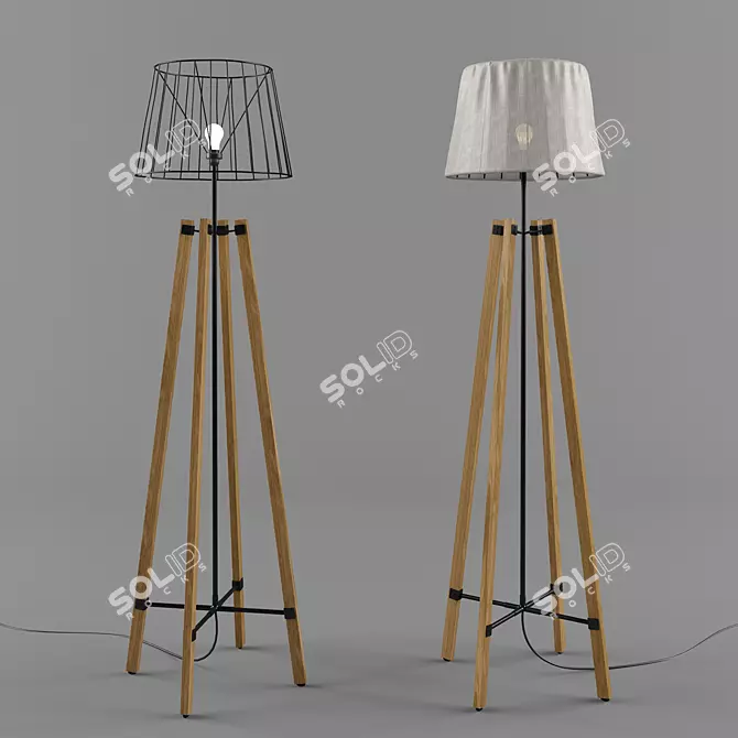 Rustic Wooden Wire Lamp 3D model image 1