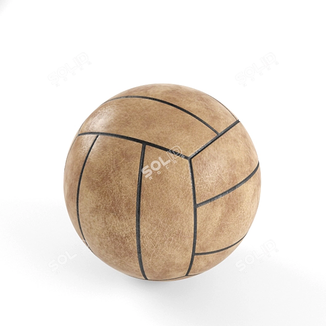 Pro Volleyball Ball 3D model image 1