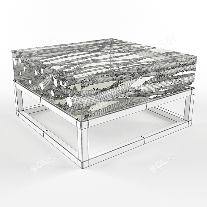 Driftwood Acrylic Coffee Table 3D model image 2