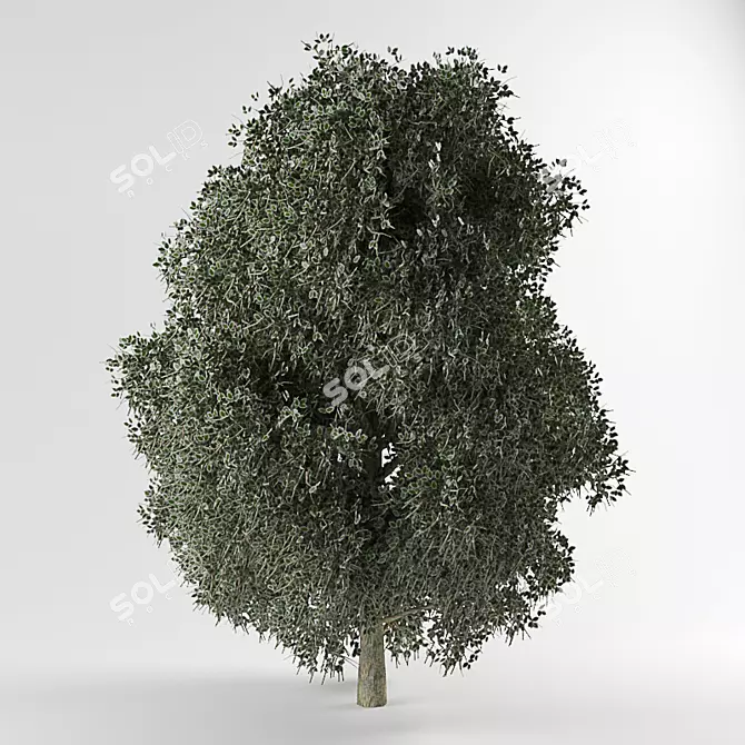 3D Tree Model with Textures 3D model image 1