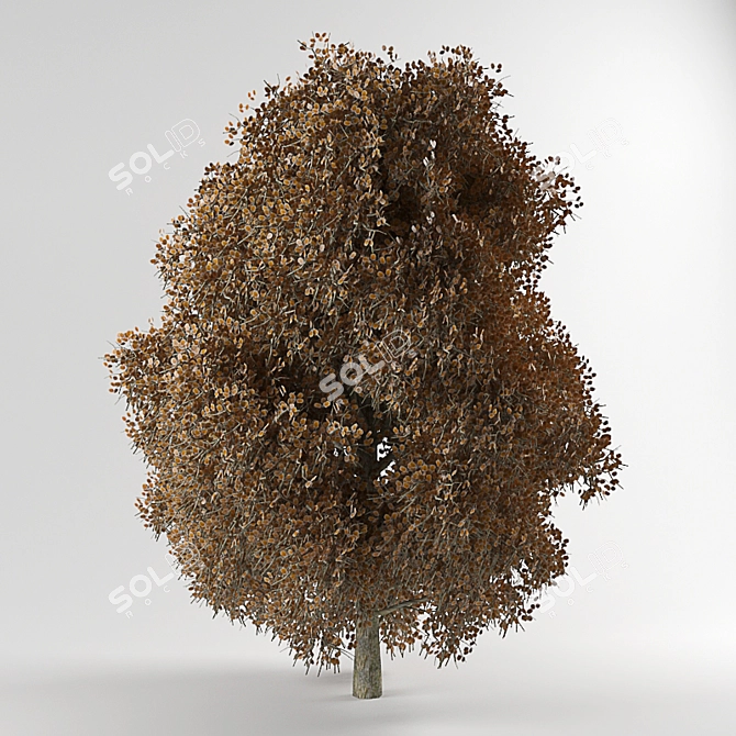 3D Tree Model with Textures 3D model image 2