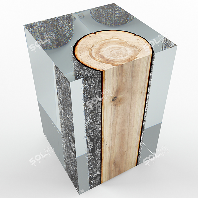 Bleu Nature Burnt Log Table 3D model image 3