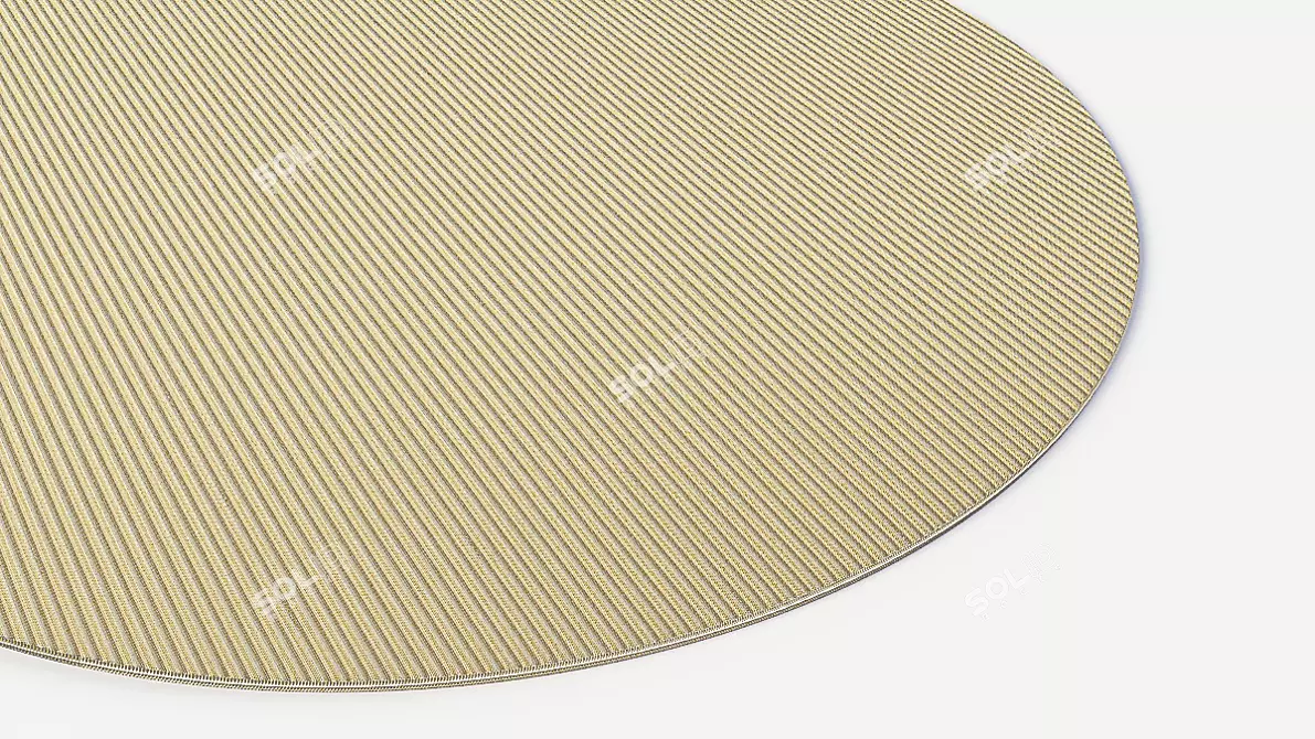 Sunny Circle Rug 3D model image 1