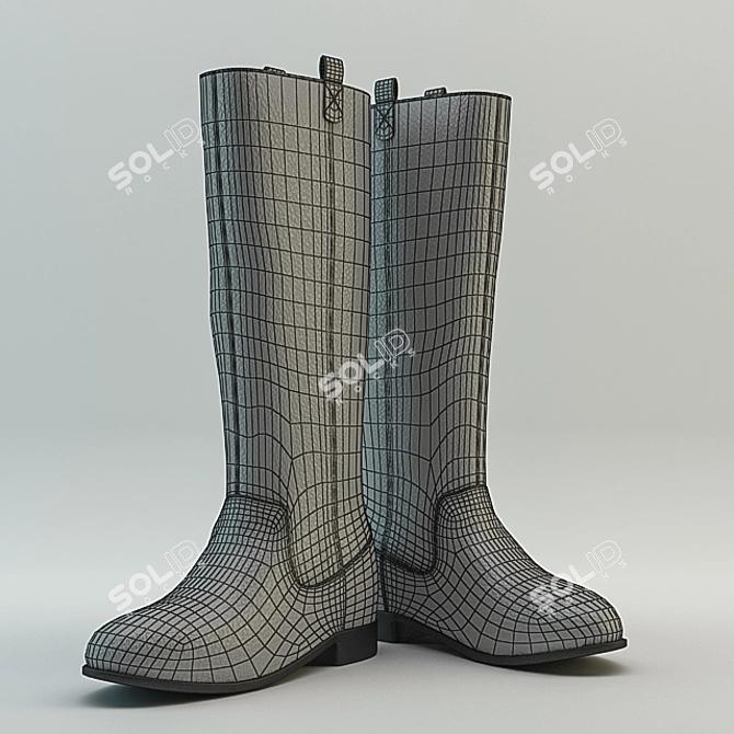 Title: Versatile Polygonal Boots 3D model image 2