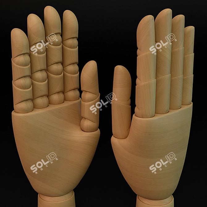 Versatile Wooden Hand Model 3D model image 2