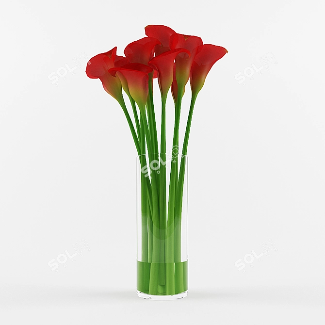 Scarlet Callas Bouquet 3D model image 1