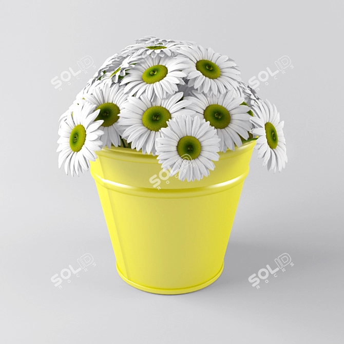 Blooming Daisies Bucket 3D model image 1