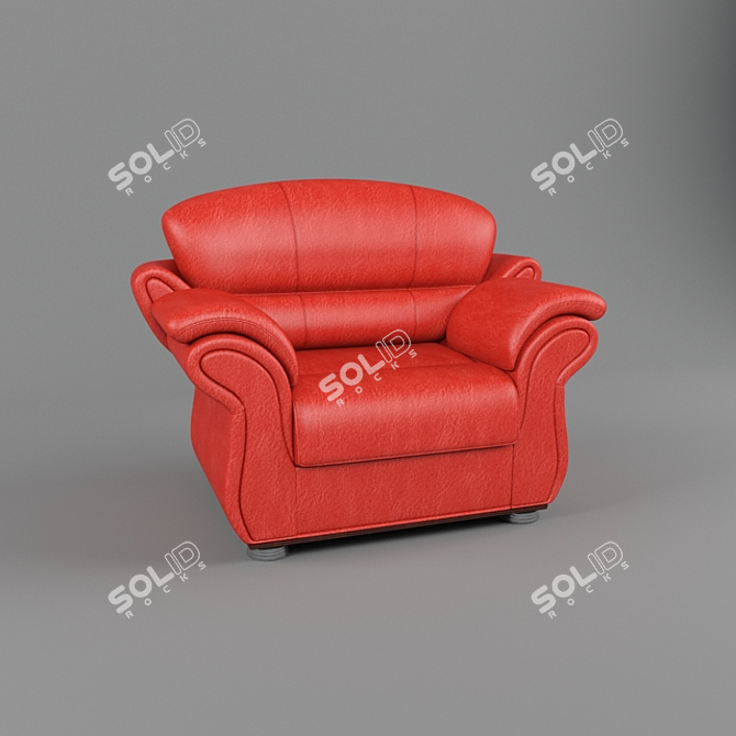 Red Leather Wheelchair 3D model image 1