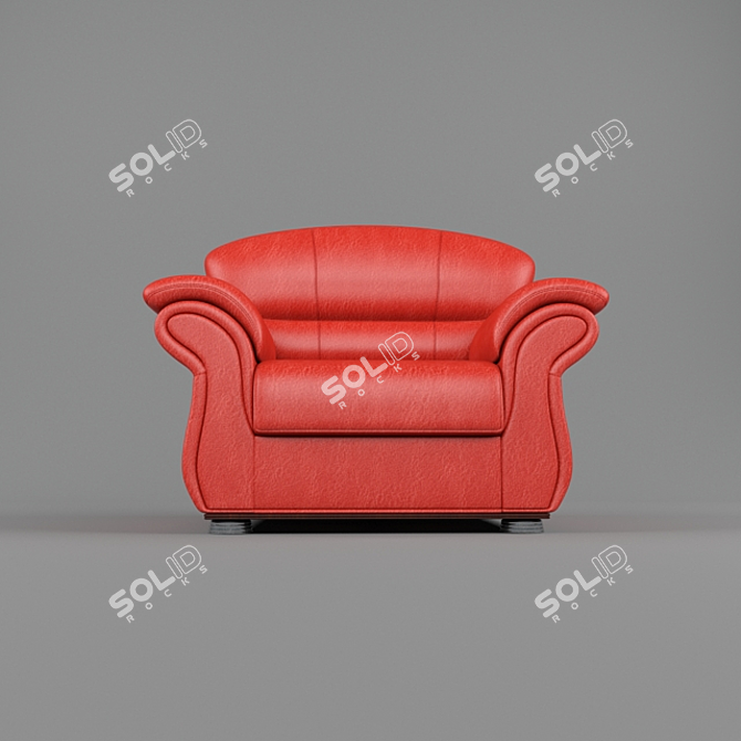 Red Leather Wheelchair 3D model image 2