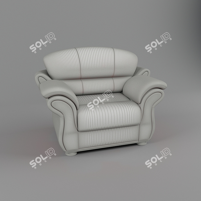 Red Leather Wheelchair 3D model image 3