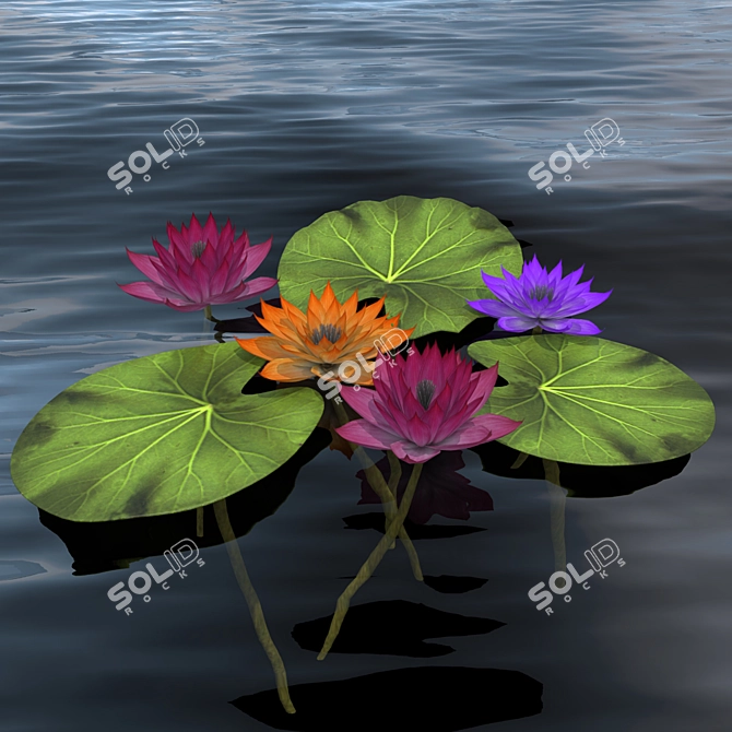 Aquatic Beauty: Waterlily 3D model image 1