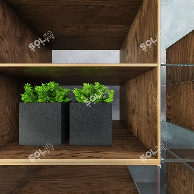 Lux Rack: Wild Oak & Walnut - Vases, Plants, Paper, Letters (2842x1539x590) 3D model image 3