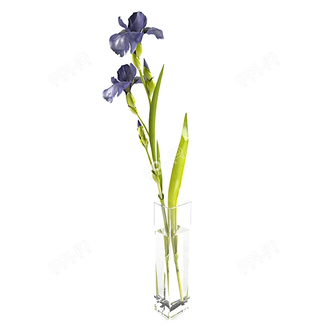 Elegant Iris Branch in Vase 3D model image 2