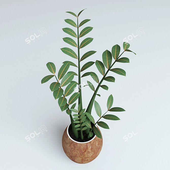 Zamioculcas Plant - Perfect for Workspace! 3D model image 1