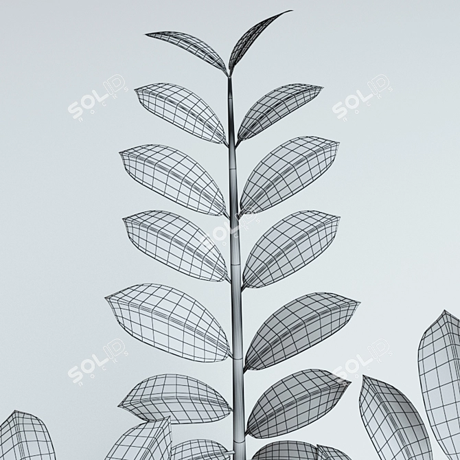 Zamioculcas Plant - Perfect for Workspace! 3D model image 2