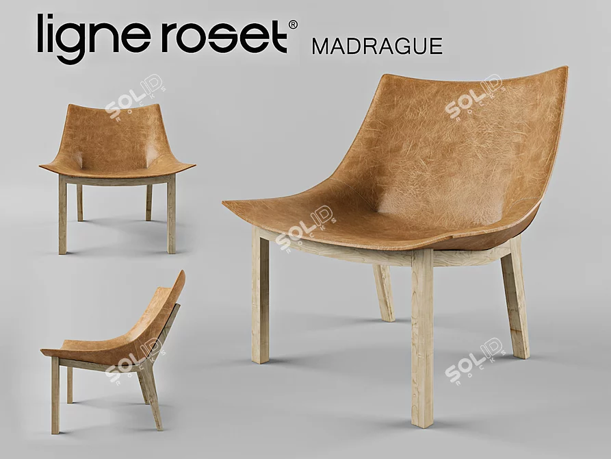 Ligne Roset MADRAGUE Leather Chair 3D model image 1