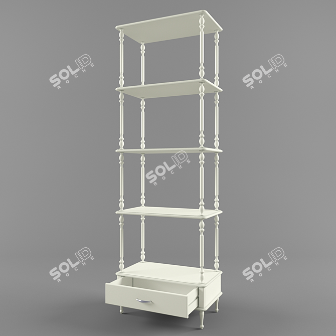 Versatile Storage Shelves 3D model image 2