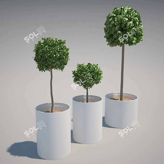 Assorted Bushes Set: Small, Medium, Large - Perfect for Scenic Displays 3D model image 1