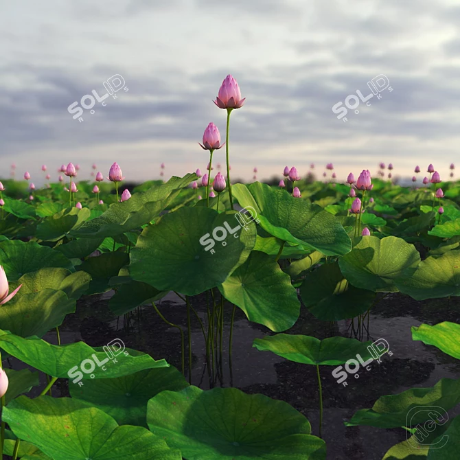 Ready-to-Scatter Lotus Plant 3D model image 1