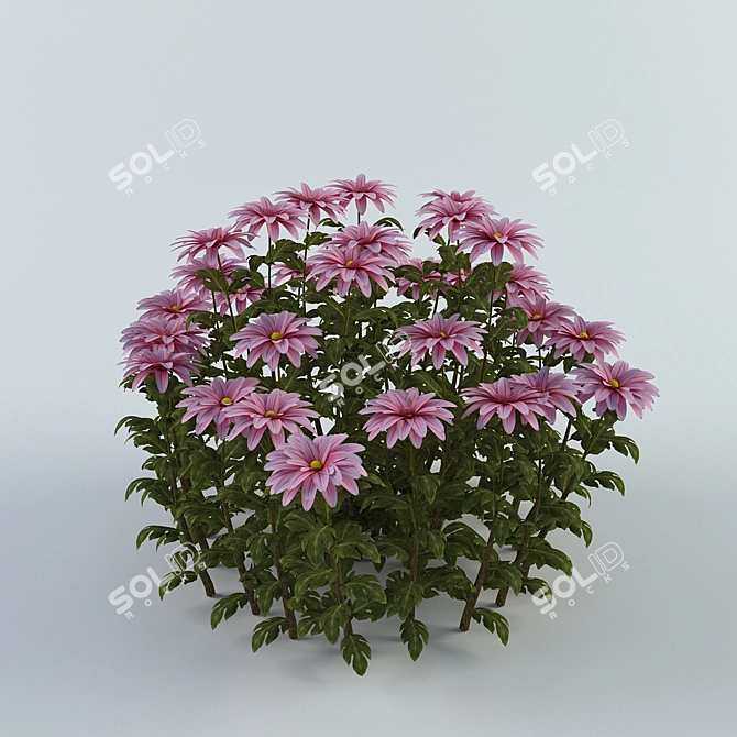 Blossoming Beauties: Chrysanthemums 3D model image 1