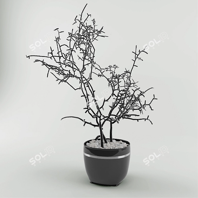 Elegant Blossom Shrub 3D model image 1