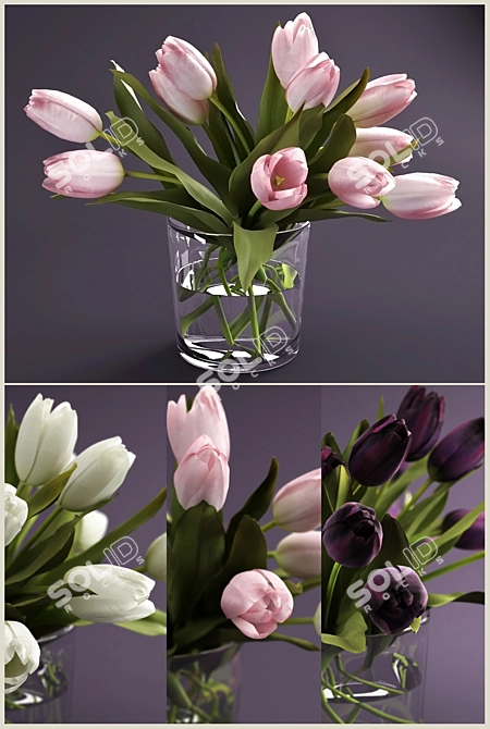 Elegant Tulip Bouquet for Any Interior 3D model image 1