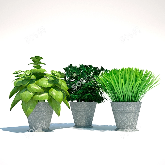 Kitchen Plants: 331K Poly, 216K Verts 3D model image 1